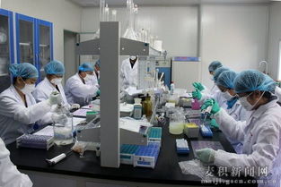 天水市舉辦縣級獸醫實驗室檢測技術培訓班，提升技術服務能力